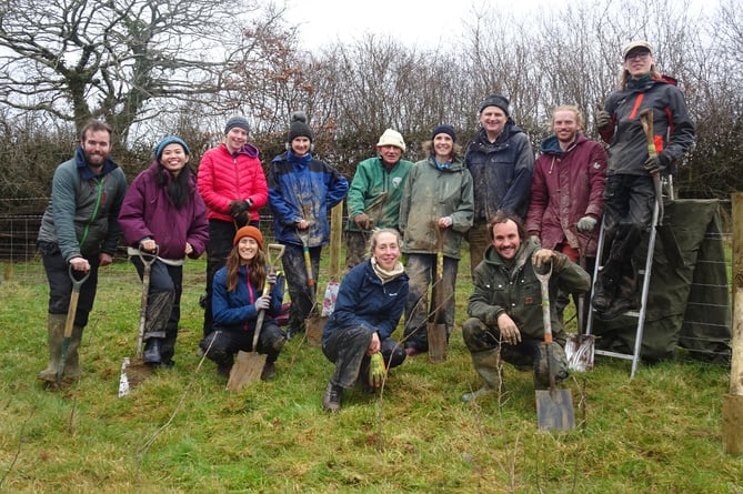 34,000 Trees to be planted on the Moors