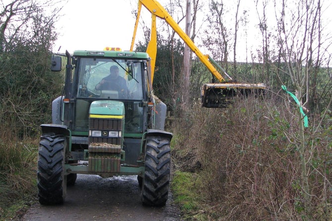 Entries are invited for the Devon Hedge Awards