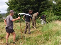 Medieval scything helps manage meadow