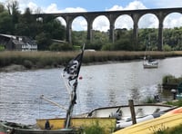 Biting flies cause misery in Calstock