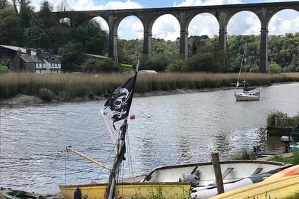 Biting flies cause misery in Calstock