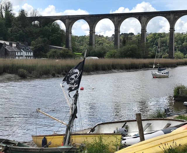 Biting flies cause misery in Calstock