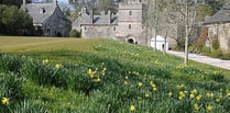 Plans to make Cotehele more accessible