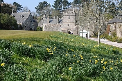 Plans to make Cotehele more accessible