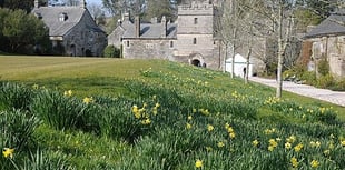 Plans to make Cotehele more accessible