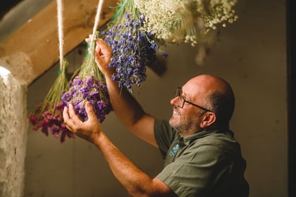 Flowers picked for Cotehele Christmas garland