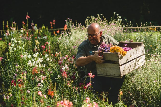 Head gardener Dave Bouch harvesting the flowers