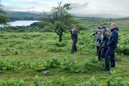 Boost for endangered bird