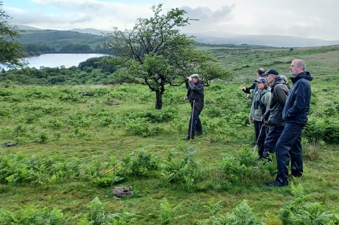 Dartmoor. Commoners, landowners and RSPB Researchers looking for Whinchats