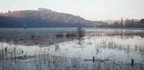 Calstock wetland project completed