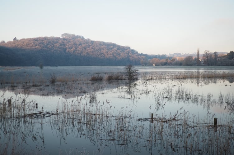 Calstock Wetland at first light. Picture by Pete Thompson