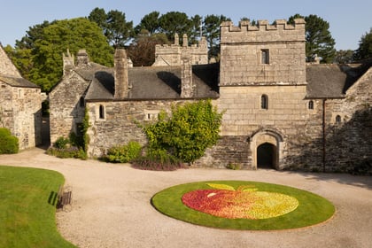 Cotehele apple weekender kicks off National Trust apple celebrations