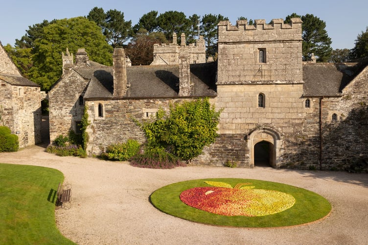 A giant apple mosaic created as part of the annual harvest celebrations at Cotehele, Cornwall