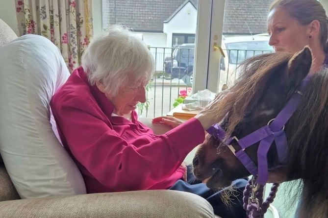 Gwennie finds it relaxing to stroke her special therapy pony guest