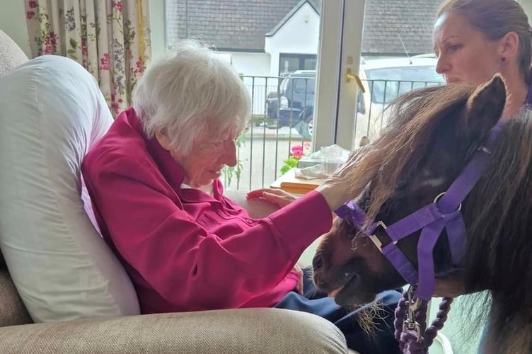 Gwennie finds it relaxing to stroke her special therapy pony guest