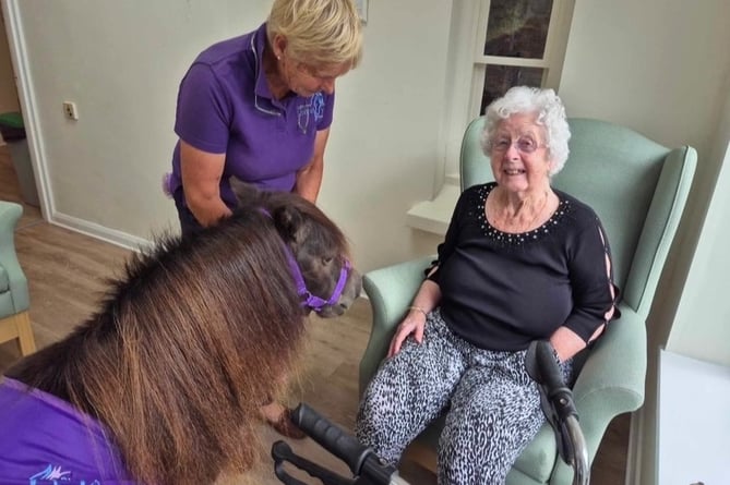 Joyce finding comfort by meeting a Collytown therapy pony at Springfields Nursing Home in Bridestowe.