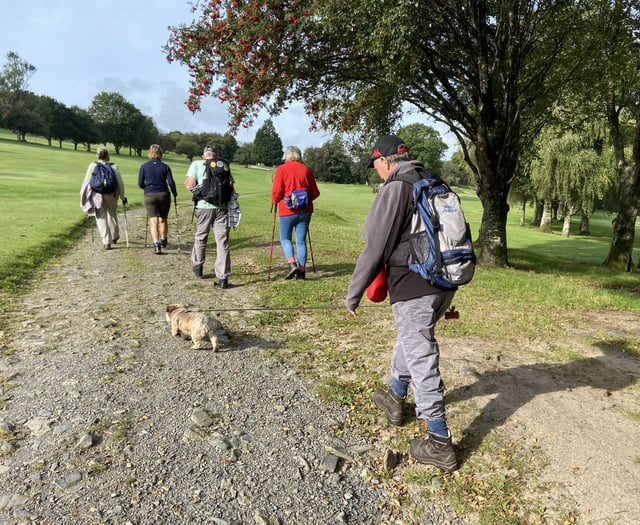 West Devon cycling and walking survey