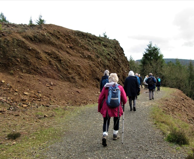 Organised walks explore the autumnal landscape of Tamar Valley