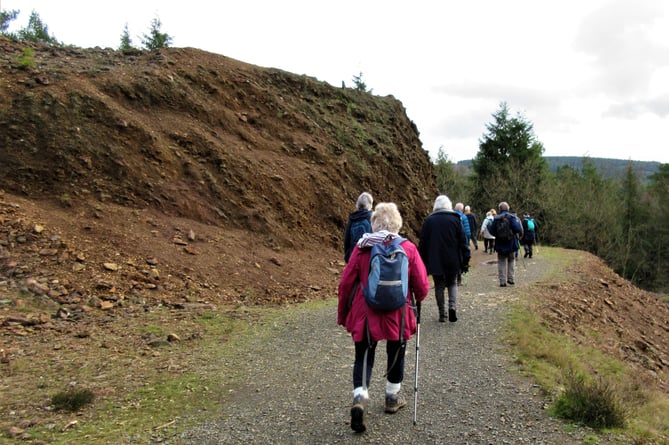 A group walks on the Tamar trails taking in the stunning scenic landscape of the Tamar valley. (Photo credit:  TVNL)